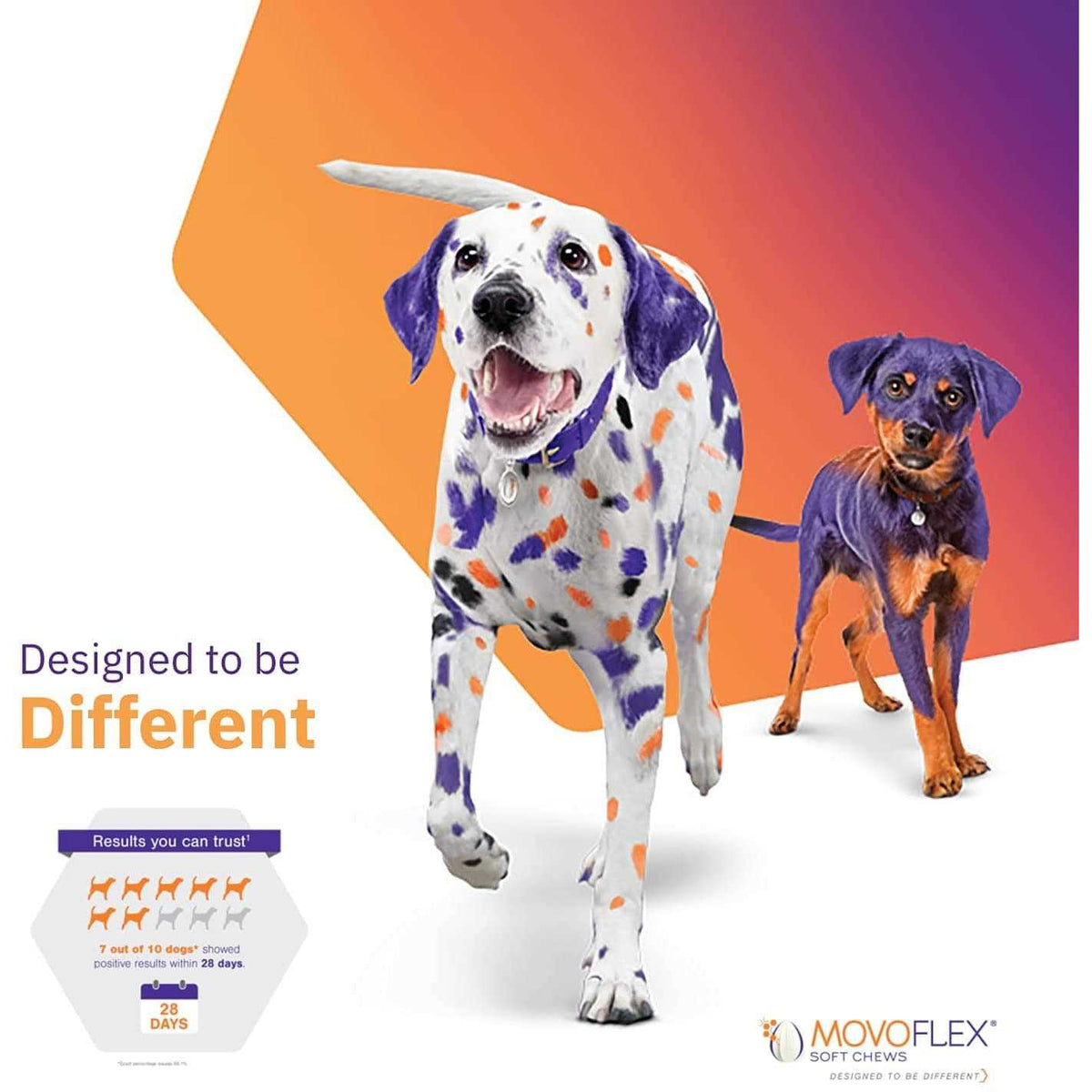 Joint Support Soft Chews for Dogs A292