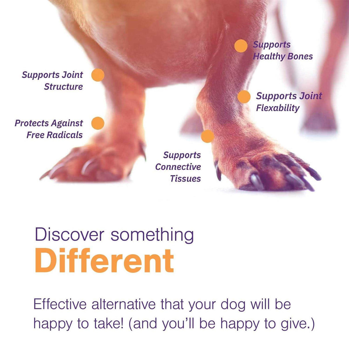 Joint Support Soft Chews for Dogs A292