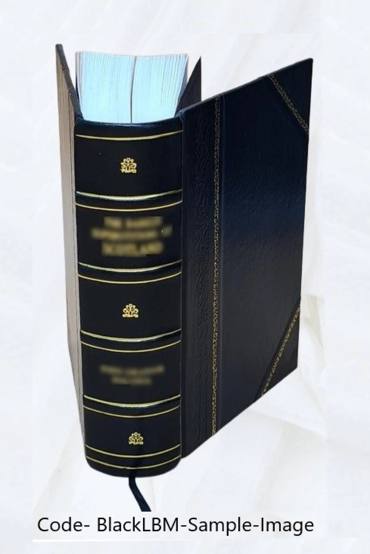 Small Electrical Utilities Nuclear Power Hearings 1968 Leather Bound O64655