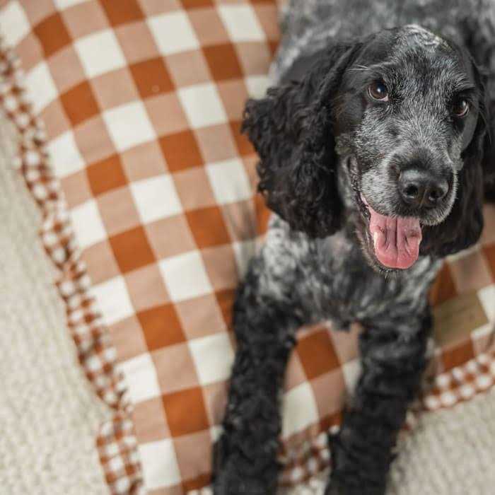 Brown Gingham Print Envelope Dog Bed M45906
