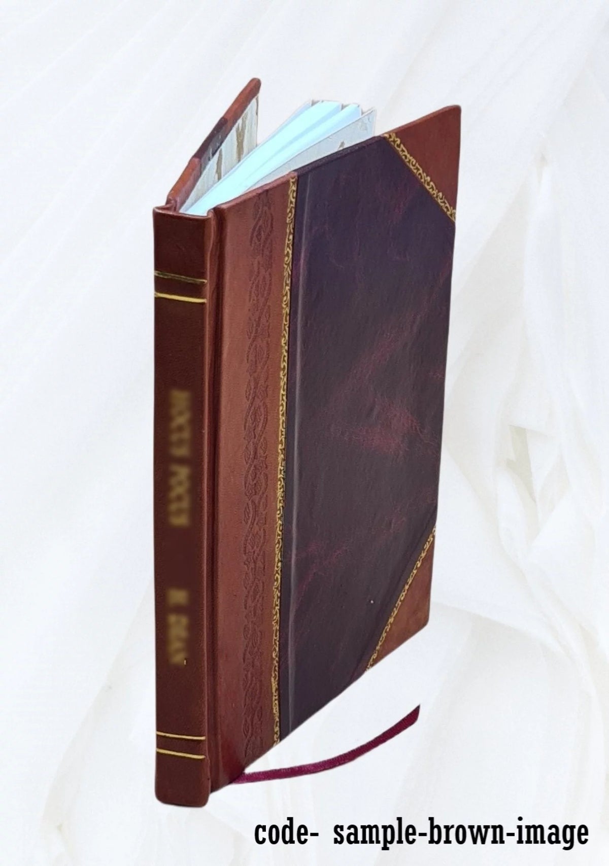 Violin and Piano Sheet Music Leather Bound M115169
