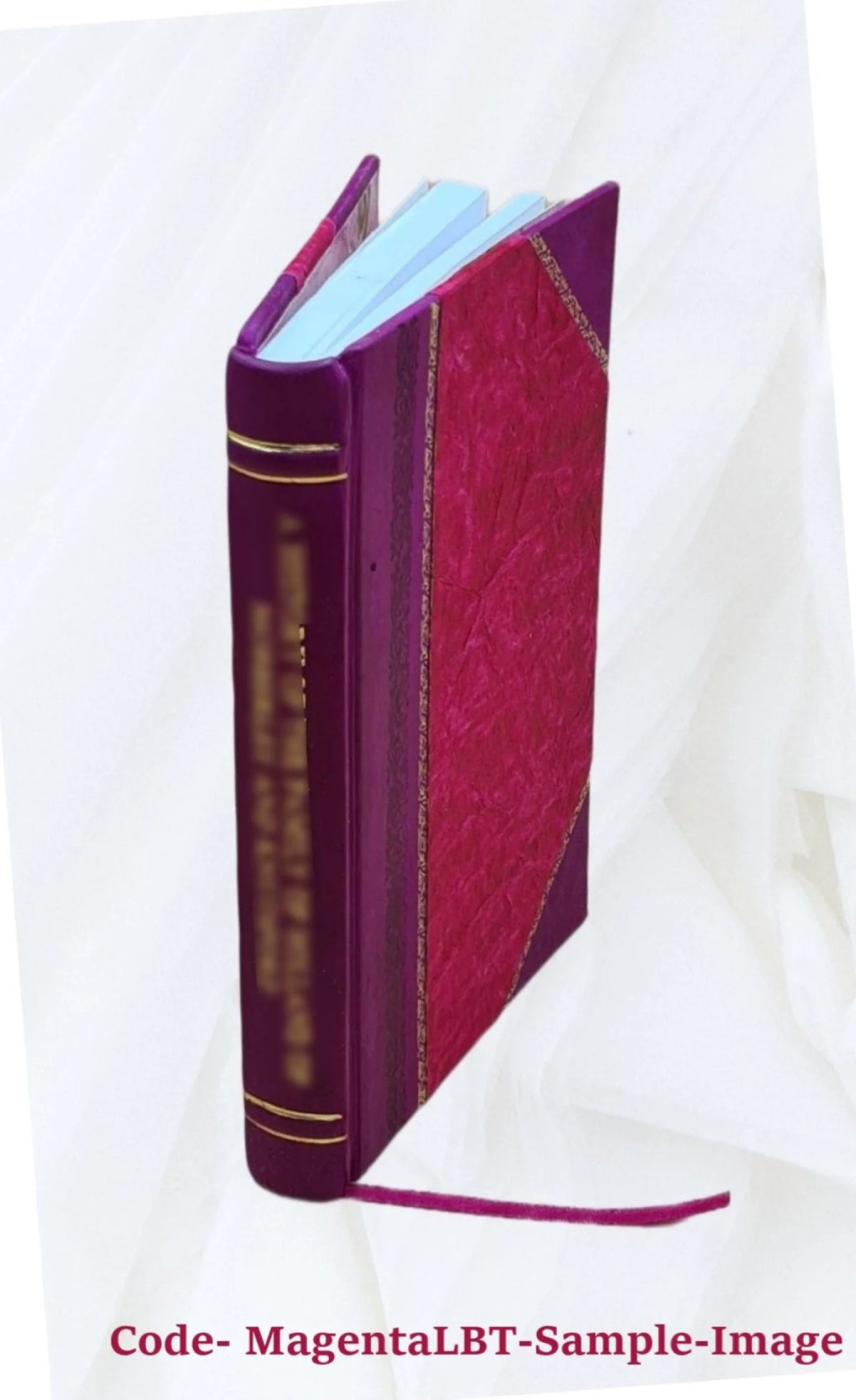Violin and Piano Sheet Music Leather Bound M115169